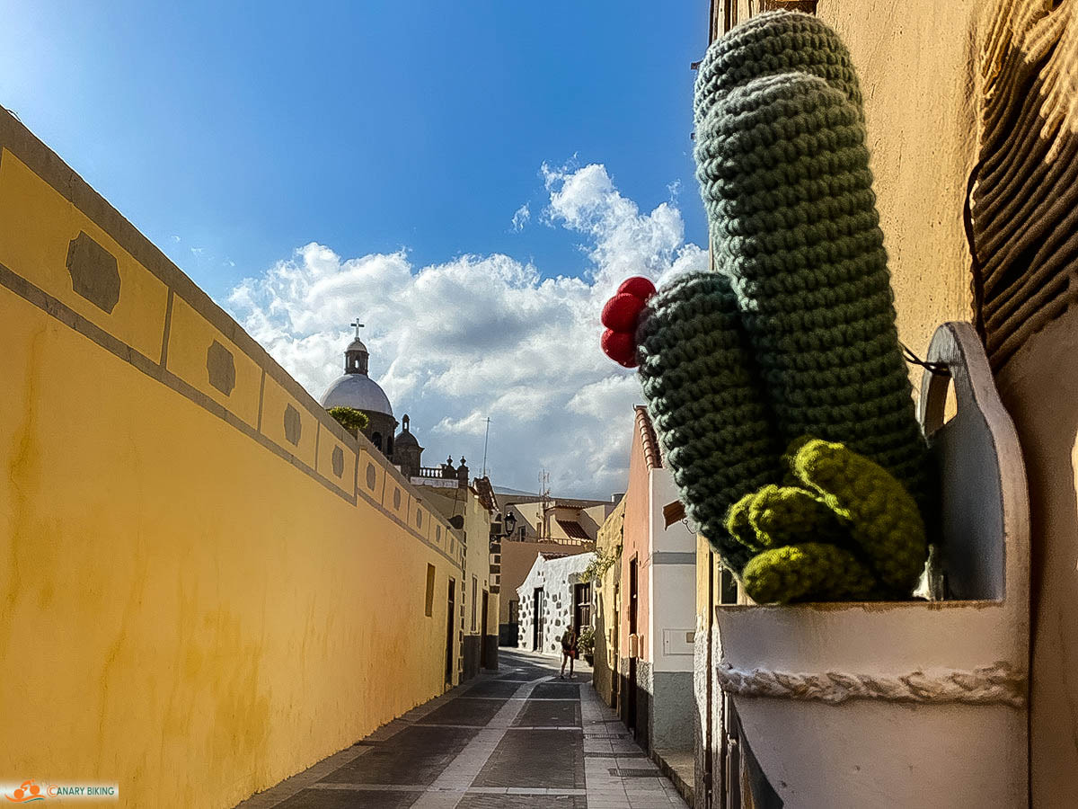 Straatje met oude huizen en cactus in pot aan de muur, met in de verte het koepeldak van een kerk