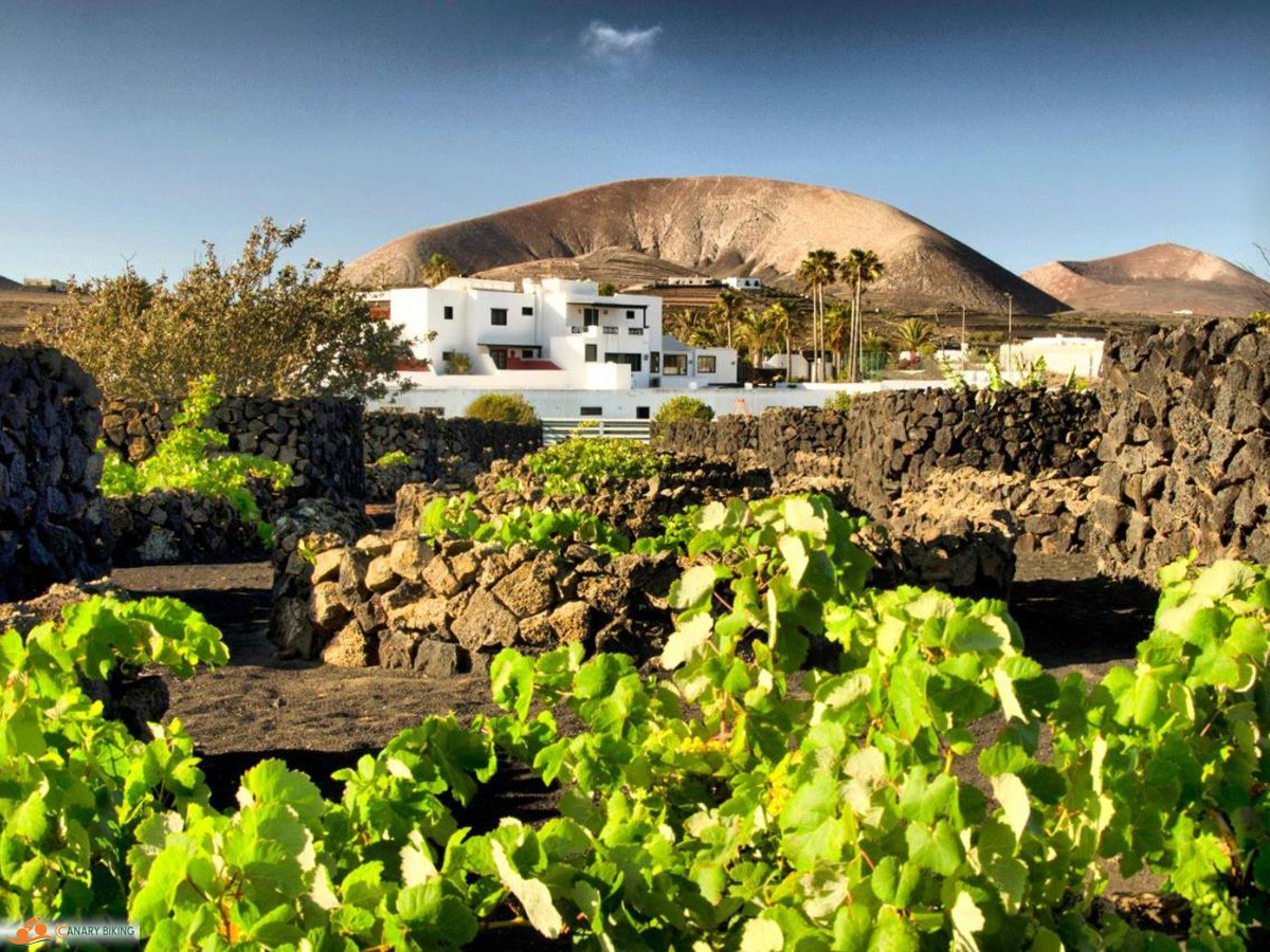hotel finca tussen vulkanen en wijngaard