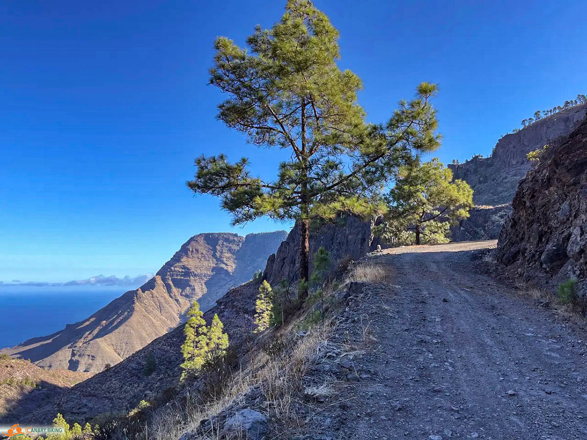 Grindpad door de bergen, met de oceaan op de achtergrond